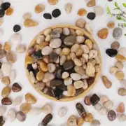 Decorative Stones (0.8-1.4 Inches) Polished Pebbles,Rocks for Medium 1 LB