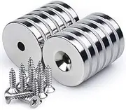 Neodymium Disc Countersunk Hole Magnets, 1.26"D x 0.2"H Strong Permanent Rare Earth Magnets with Screws - Pack of 12