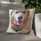 CUSHION COVER PILLOW CASE|LABRADOR RETRIEVER DOG 18