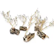 Assorted Coral Wood With Cholla Wood Base 10-15CM For Fish Shrimp Snail Tank Aquarium