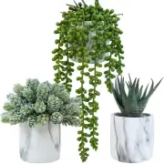 Set of 3 Small Artificial Succulent Potted Plants Fake Aloe Hops String of Pe...