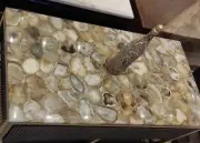Natural Agate Coffee Table Dinning Table Hamdade Furniture Conference Meeting