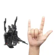 Robot Mechanical Claw Clamper Gripper Arm Five Fingers Right+Left Hand Assembled