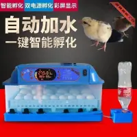 在飛比找Yahoo!奇摩拍賣優惠-特賣-伊科貝特孵化器智能家用小型孵蛋器雞鴨鵝鴿子雙 全自動孵