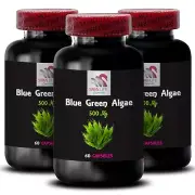 Spirulina Wellness Capsules - BLUE GREEN ALGAE - Blue Green Extract 3 Bottle