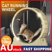 Wooden Cat Running Wheel–Fitness Treadmill Toy for Cats–Exercise Circle Machine