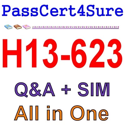 Huawei Constructing Data Protection System HCNP H13-623 Exam Q&A+SIM