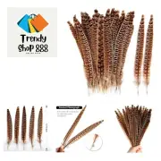24pcs Ringneck Pheasant Tails Feathers Natural Feathers 12- 30-35cm for Craft...