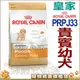 ★法國皇家 PDP貴賓幼犬飼料(原PRPJ33)-3kg 狗族文化村