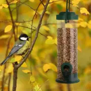 Bird Feeder Metal Bird Suet Feeders Outdoor Hanging Mesh Tube Wild Bird Feeder
