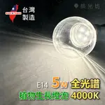 【築光坊】 E14 5W 散光型 全光譜 4000K 植物燈泡 圓形 全電壓 多肉 植物生長燈