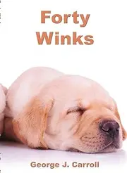 Forty Winks