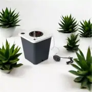 Hydroponic Bucket Grow System | DWC System With Air Pump