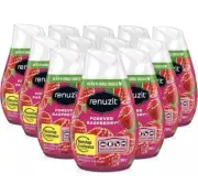 12 Pack Renuzit Adjustable Solid Gel Air Freshener, Forever Raspberry