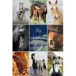 MY ADDRESS BOOK: HORSE COVER - ADDRESS BOOK FOR NAMES, ADDRESSES, PHONE NUMBERS, E-MAILS AND BIRTHDAYS