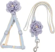 VERDANVERSE Cat and Leash Lightweight Pet Strap for Outdoor Walking Breathable Cotton and Material Fashionable Design for Kittens and Cats