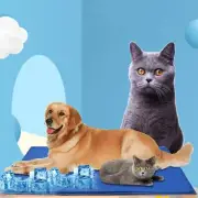 Pet Dog Sleeping Bed Cooling Gel Non-Toxic Mat Puppy Self Cooling Cushion Pad