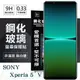 SONY Xperia 5 V 超強防爆鋼化玻璃保護貼 (非滿版) 螢幕保護貼 強化玻璃【愛瘋潮】 (5折)