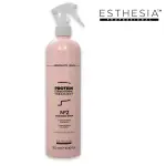 Aesthesia (Nanoplasty) Lenis Absolute Protein Spray 500 Ml Smoothing Treatment