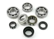 Complete Bearing & Seal Kit Chevy NV1500 Mini Getrag 5 spd S10 1996-ON (BK416)