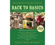 Back to Basics