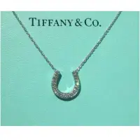 在飛比找蝦皮購物優惠-Tiffany&Co馬蹄鑽石項鍊