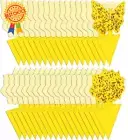 12-Pack Sticky Fruit Fly & Gnat Traps, Non-Toxic, Odorless, Indoor & Outdoor Use