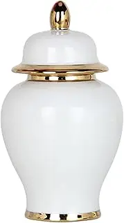Qianly Ceramic Vase/Porcelain Ginger Jar/Temple Jar/Ceramic Flower Vase for Storage Tank, White