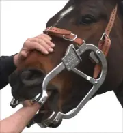 horse mouth speculum and rasp set