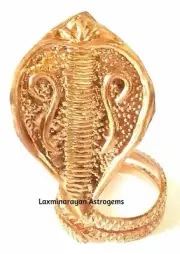 NAG DEVTA FOR KAL SARP DOSHA NIVARAN ENERGIZED