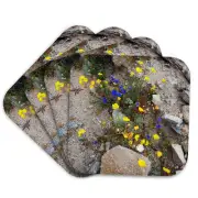 3dRose, Fargo Canyon springtime wildflowers, California, Coaster
