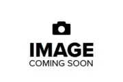 Arabian Wood - Al Dunya Imports - Uncut Concentrated Perfume Oil 5ml Roll-On.
