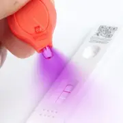 Torch Light Small Flashlight Keychain Light Lights for Detection