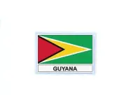 Patch Badge Printed Flag Guy Guyana