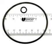 OEM Polaris G58 Back up Valve O-ring Kit Part G-58 for 180 280 380 3900 480