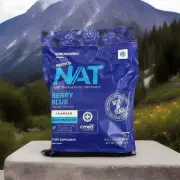 Pruvit Keto OS NAT KETONES Berry Blue/free Chipping
