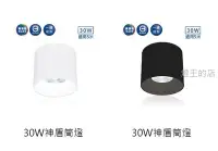 在飛比找Yahoo!奇摩拍賣優惠-燈飾燈具【燈王的店】舞光 LED 30W 筒燈 白框/黑框 