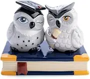 Owl Bird Lovers Salt and Pepper Shakers Set
