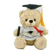 NEW 28cm Graduation Bear with Top & Pen for Singing, Graduation Signature Gift