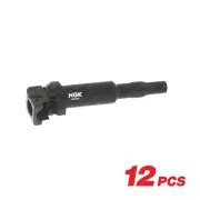 12 x NGK Ignition Coils for BMW 760Li F02 6.0L TV12 Cyl V DOHC TMPFI 48V 400kW
