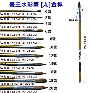 【庫存福利出清品】A畫王16號水彩筆 丸金桿 (NOD)