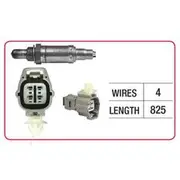 RAE Oxygen Sensor - OX418
