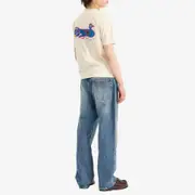 Drake's Peacock Graphic Hiking T-Shirt