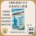 (現貨)寶齡富錦PBF鋅喜健固立膠囊60顆