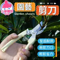 在飛比找蝦皮商城優惠-園藝剪刀 高枝剪 修枝剪 果樹剪 花枝剪刀 粗枝剪刀 樹枝剪