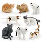 仿真寵物貓咪動物模型 三色貓美國短毛貓橘貓黑貓桌面擺件玩具