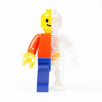 在飛比找有閑購物優惠-4D MASTER Brick Man 解剖公仔 積木人偶 