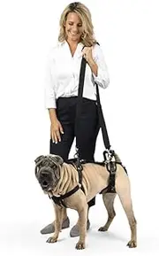 PetSafe CareLift Support Harness - Full Body Lifting Aid with Handle and Shoulder Strap - Great for Pet Mobility and Older Dogs - Comfortable, Breathable Material - Easy to Adjust - Medium, black