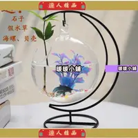 在飛比找蝦皮購物優惠-【達人】臺灣熱銷懸掛小魚缸迷你缸辦公桌面創意玻璃小型金魚缸水