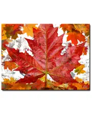 Ready2HangArt Fall Ink XXII Wrapped Canvas Wall Art by Tristan Scott